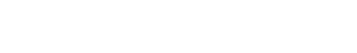 white inverse global payments logo